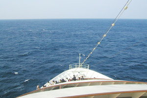 ��C���q�C��