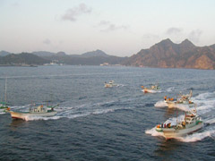 �����o�`