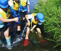 ���ނ�̉���T��