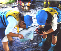 �΂���ɂƂ��Ċώ@