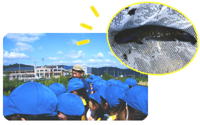 �����𕷂��q�ǂ������E���������i�}�Y