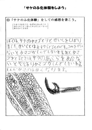 ���z�F���̍̎�ɂ���