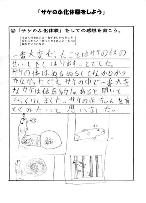 ���z�F�I�X�̐��q�����ڂ肾���̂���ς�����