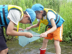 �Ԃ�`�����ގq�ǂ�����