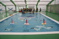 �v�[���S�̐}