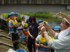 �������錳��搶