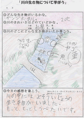 �����������F���S�A�u���A��������̋��Ȃ�