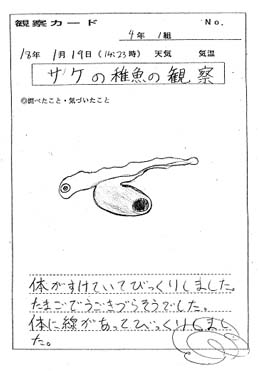 �ώ@�J�[�h1��19�����B�����ɉh�{�܂�����A�̂������Ă���