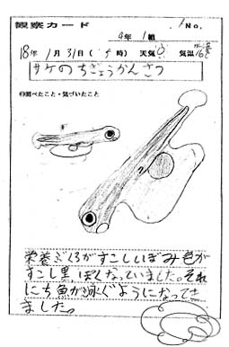 �ώ@�J�[�h1��31�����B�`���ς��A�j���悤�ɂȂ��Ă���