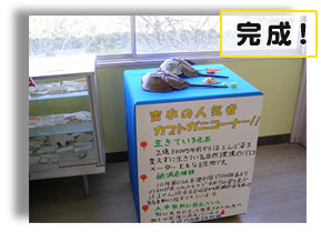 �I�̏�ɂ̓J�u�g�K�j�̖͌^��