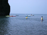 �q�ǂ������̏��J�k�[�̌Q��