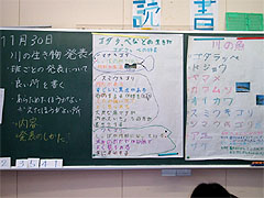 �ʐ^��F�y�����g���A�ڂ������܂Ƃ�