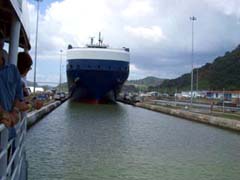 �p�i�}�^�͂�n��D����