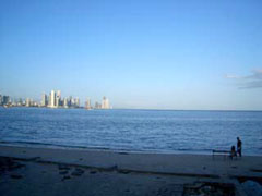 �C�̌������ɂ͍��w�r������������