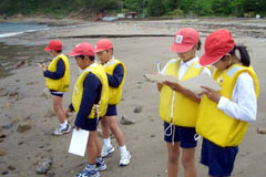 ���C�t�W���P�b�g