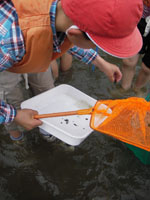 �΂ɂ�������T��