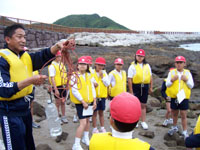 �C�݂ɓ���