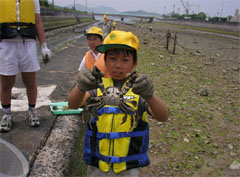 �傫�ȃJ�j�𔭌��I