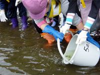 �T�P�̒t������