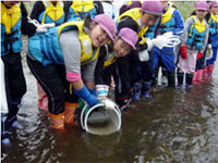 �T�P�̒t������