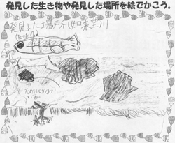 �΂̉���7�Z���`�̋��𔭌�