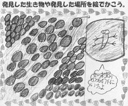 �΂̉��ɂǂ��傤�𔭌�