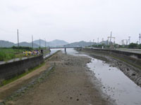 �앝�̍L���g�C�`�����̗l�q