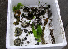 �C����L�Ȃ�