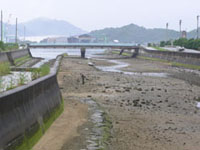 �앝�����܂����g�C�`�����̗l�q