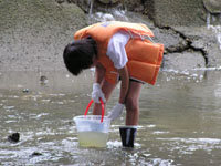 �o�P�c�Ő������ގq�ǂ�