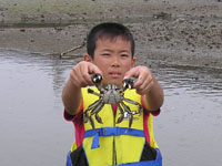 �J�j�����q�ǂ�