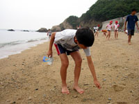 �r�[�`�N���[��