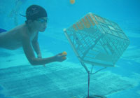 �����ʓ���