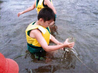 �Â��Ɉ����グ��