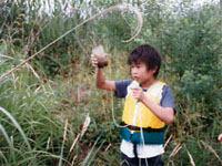 �g���b�v�̒��g���m�F