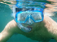 �����}�X�N�ƃV���m�[�P���@����1