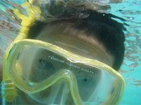 �����}�X�N�ƃV���m�[�P���@����2