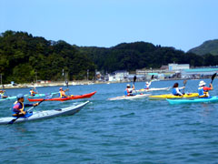 ���Z�̗l�q