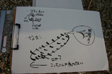 �J�k�[����