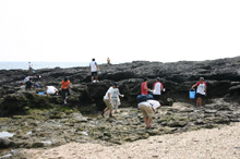 �J�k�[����