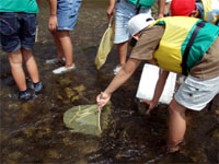 �����ł�����