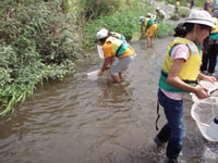 ���A��_��