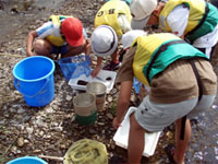 �̎悵�������𒲂ׂ�