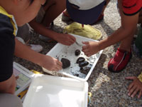 �����[�ɋL��