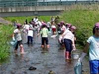 �����̎�