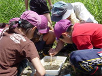 �߂܂��������̐������󂯂�