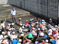 ��������Ď���