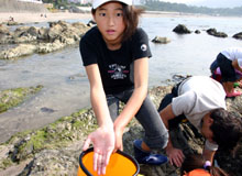 ��̐������ώ@