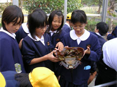 �J�u�g�K�j�ɐG���