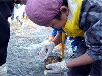 �΂̗��ɉ�������